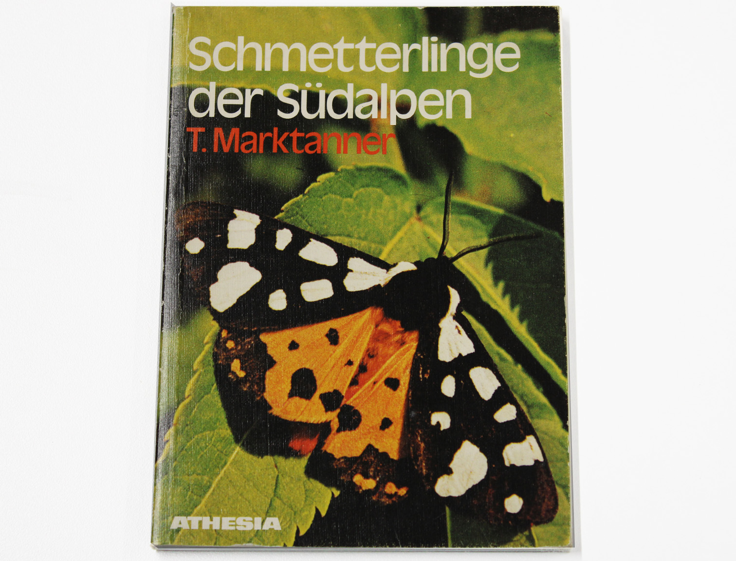 schmetterlinge sudalpen